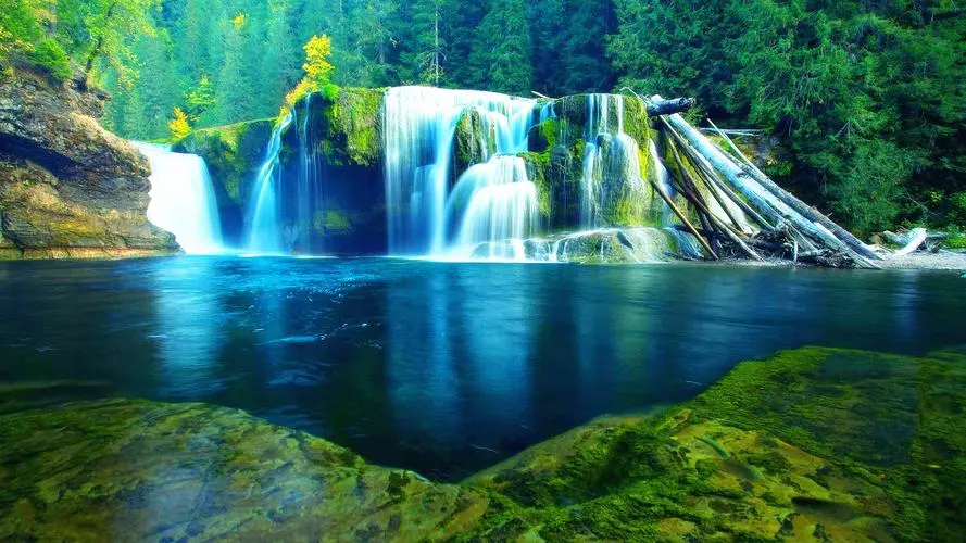 智能系统信息化自动化